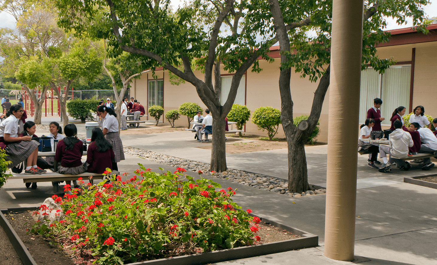 Campus Outdoors | Challenger School - Sunnyvale | Private School In Sunnyvale, California
